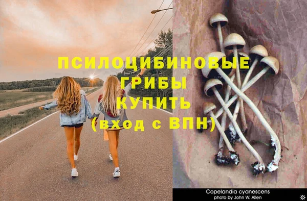 ПСИЛОЦИБИНОВЫЕ ГРИБЫ Волосово