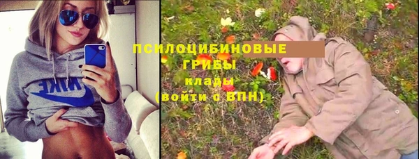 ПСИЛОЦИБИНОВЫЕ ГРИБЫ Волосово