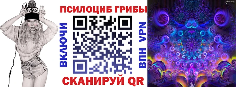 Купить где  Островной  Галлюциногенные грибы Cubensis 